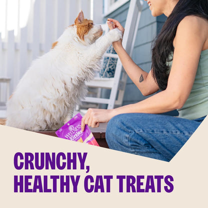 Kittles Crunchy Cat Treats, All Lifestages, Kitten to Senior, Natural, Grain Free, Salmon and Cranberry Flavor, 6 Oz Bag