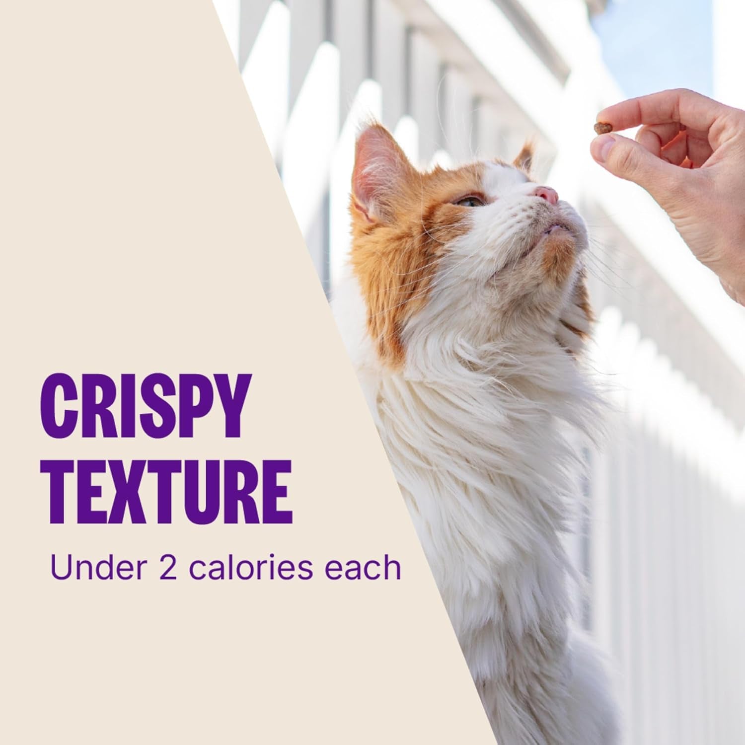 Kittles Crunchy Cat Treats, All Lifestages, Kitten to Senior, Natural, Grain Free, Salmon and Cranberry Flavor, 6 Oz Bag