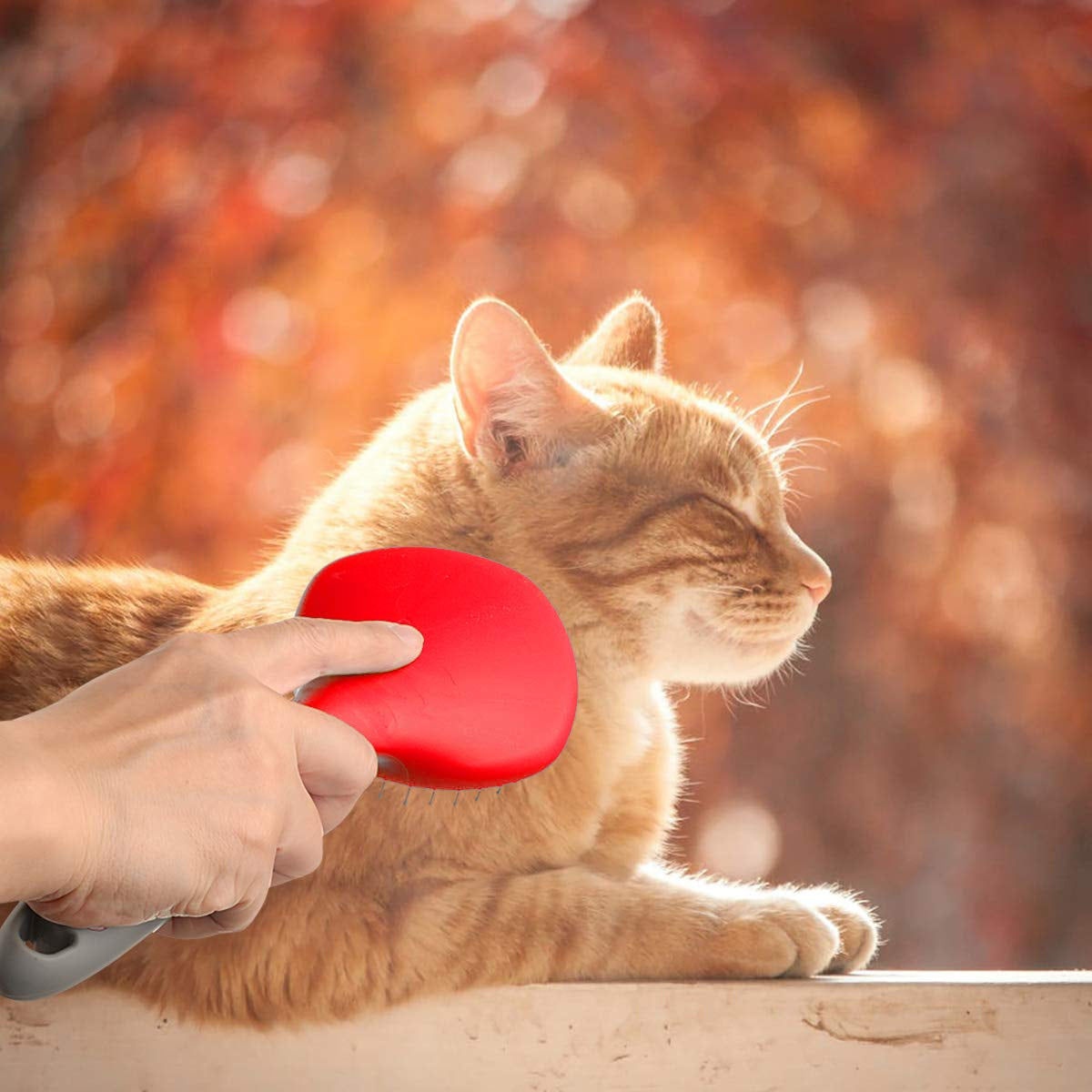 Mane and Tail Brush for Horses and Dogs with Soft Touch Grip (RED)